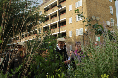 Grow the City - Guerrilla Gardening Event