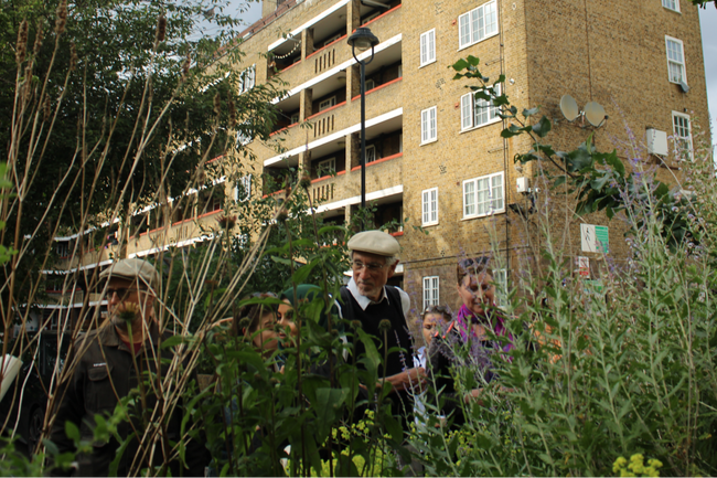Grow the City - Guerrilla Gardening Event