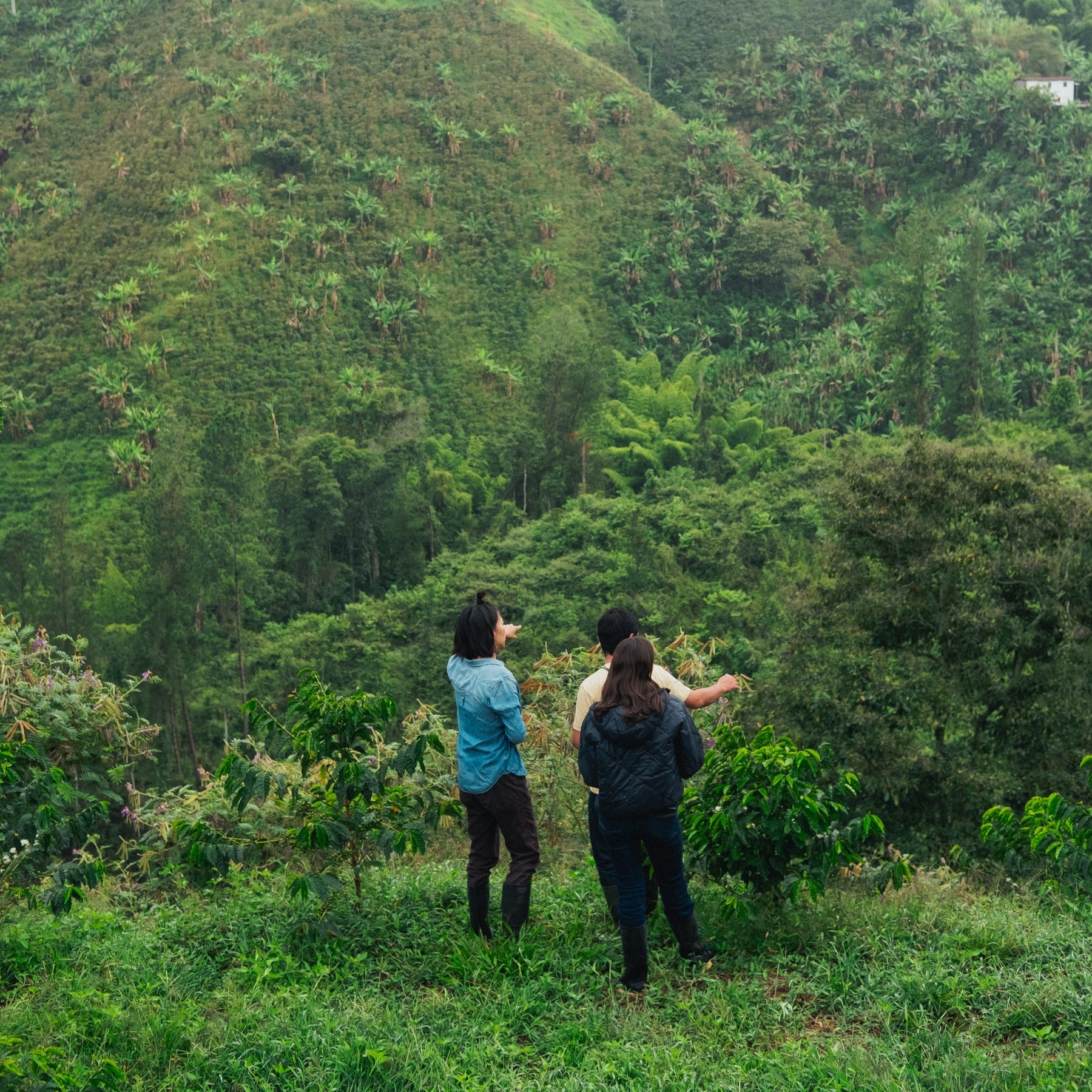 Shaping the Future of Coffee