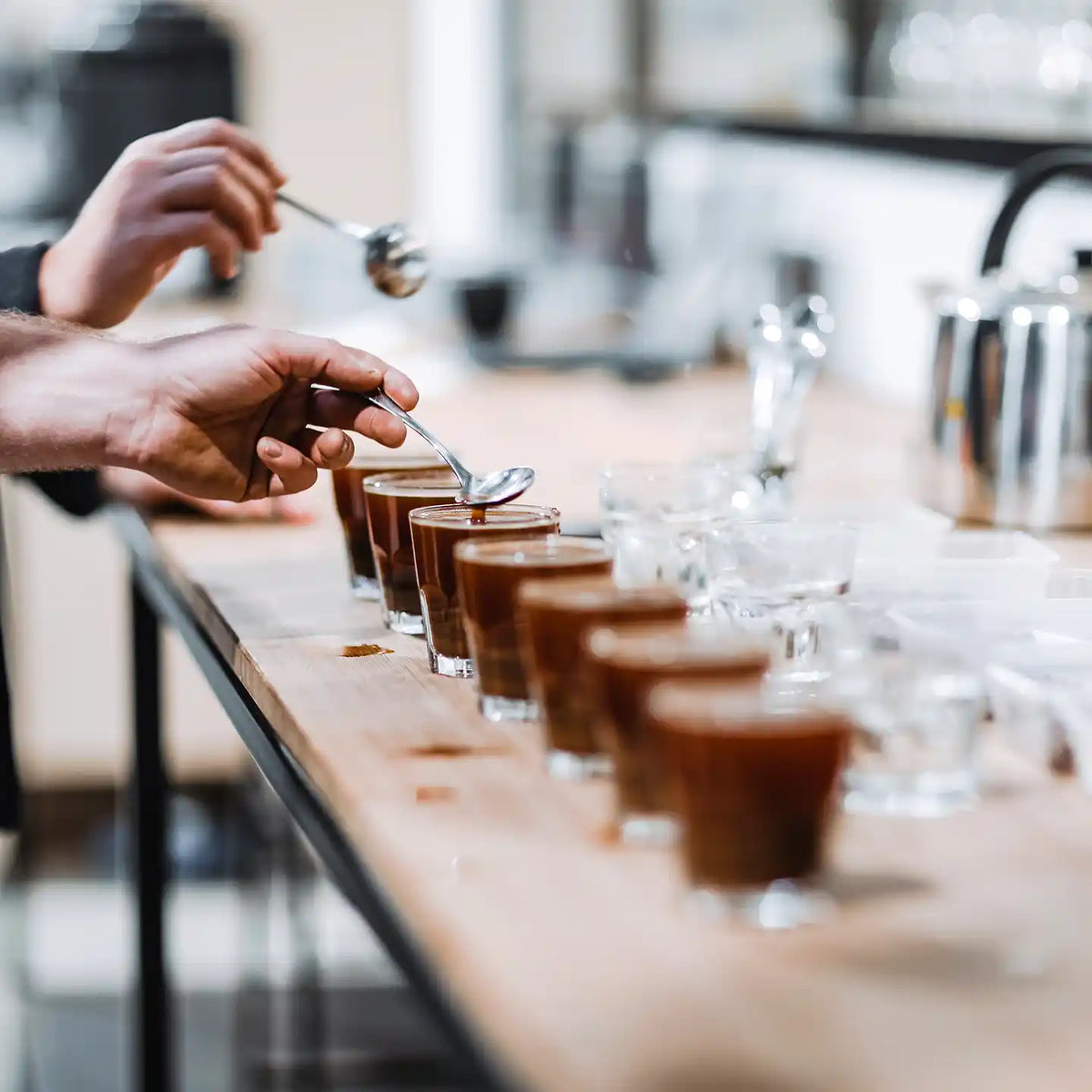  Coffee Tasting Courses 