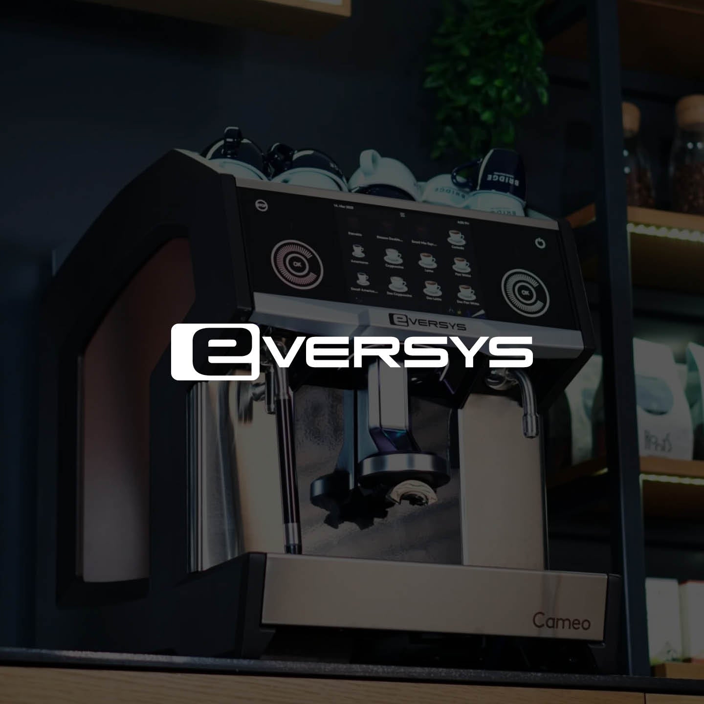 Bean to Cup Machines