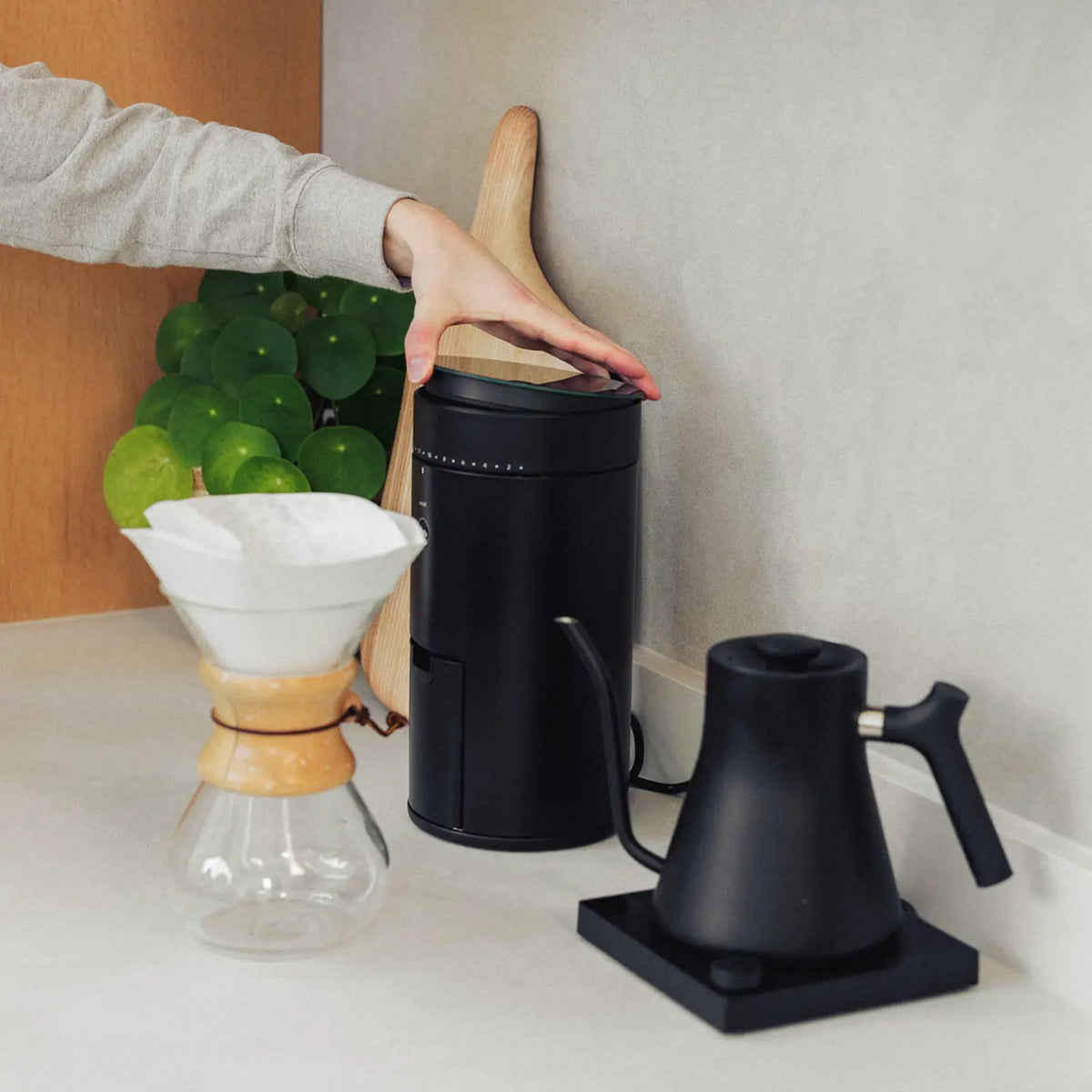  Wilfa Coffee 