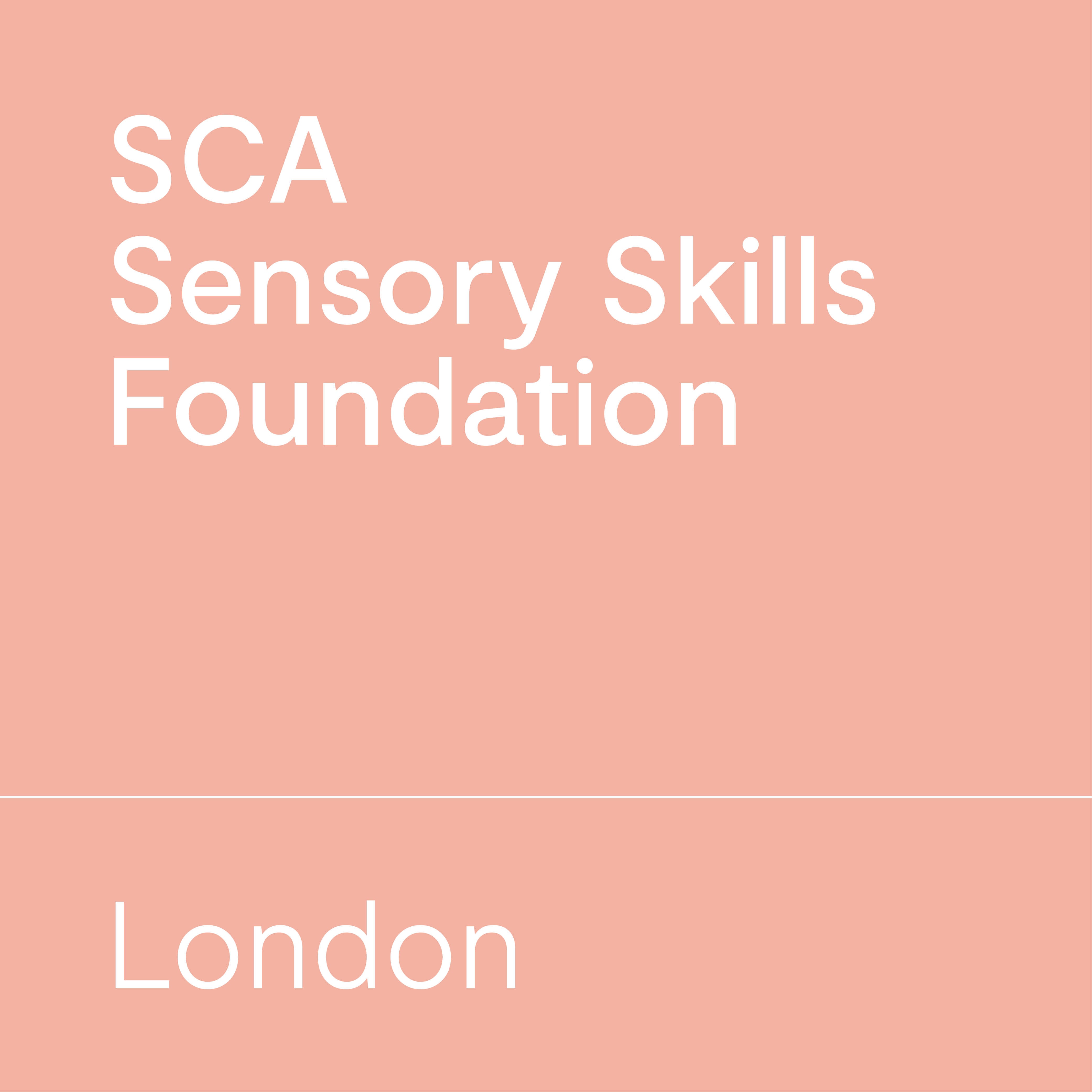 SCA Sensory Skills Foundation | London
