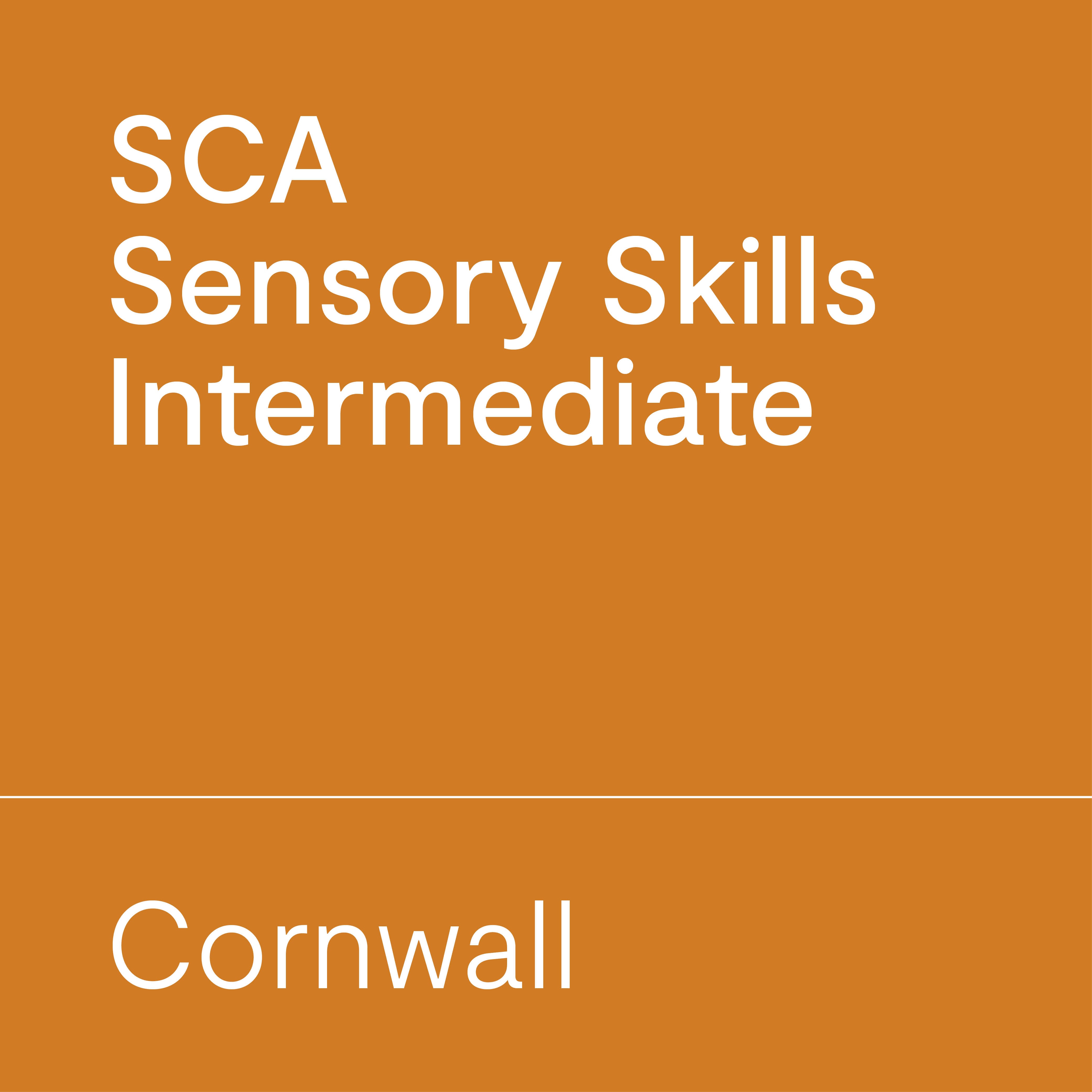 SCA Sensory Skills Intermediate | Cornwall